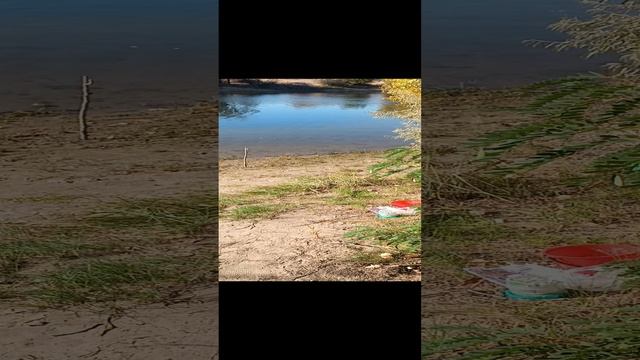 Рыбалка 🎣 бойл или червь?