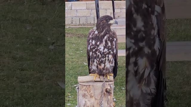 Счастье живет рядом с нами