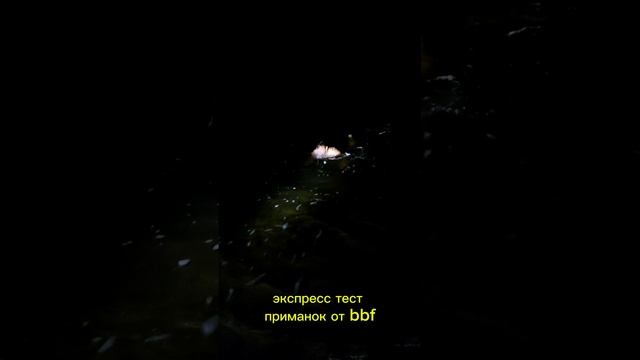 тест приманок по холодной воде #рыбалка #отдых