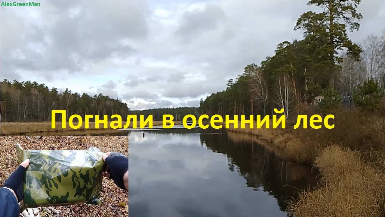 Погнали в осенний лес