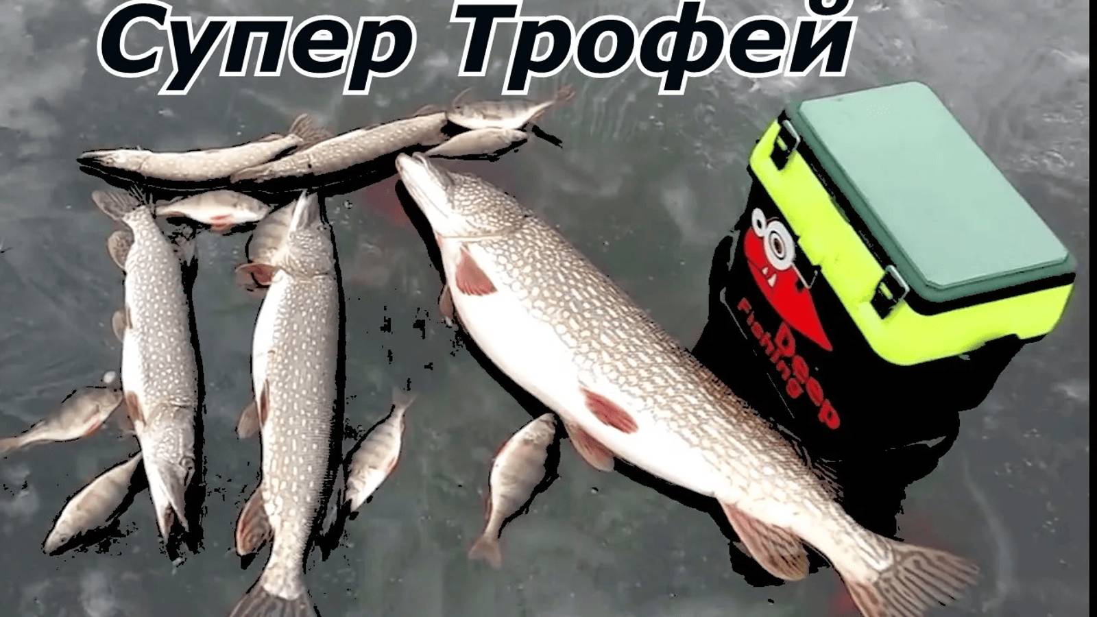 ЩУКА МОНСТР !! Рыбацкое ,озеро, ПЕРВЫЙ ЛЁД . жерлицы для щуки. зимняя рыбалка жерлицы