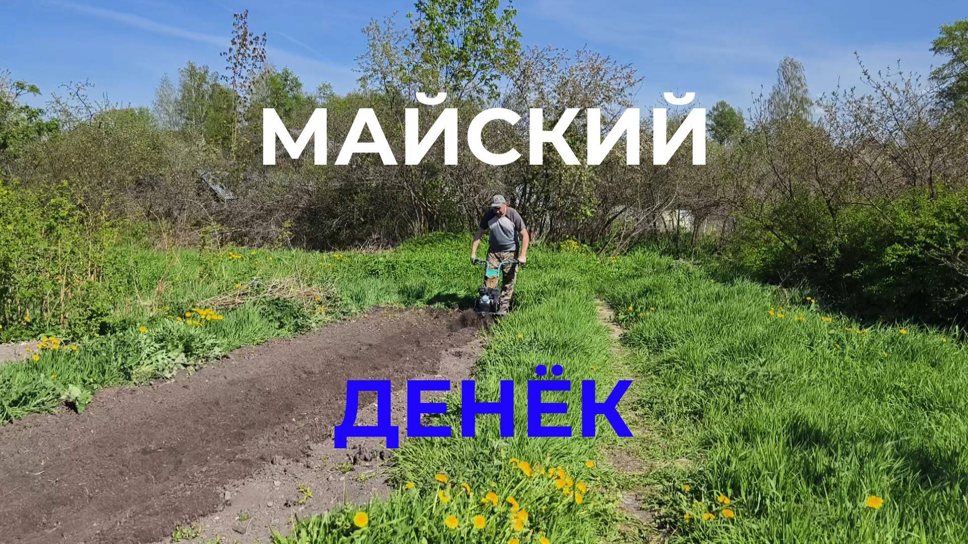 Майский денек