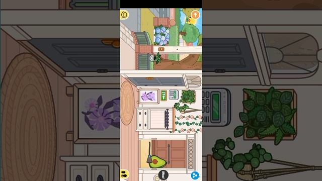 1000002647.mp4