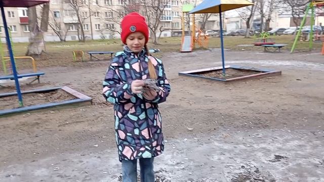 лëд