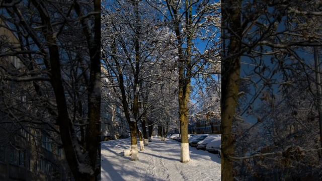 Первый снег в посёлке.
Фотозарисовка