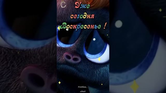 Когда закончились выходные