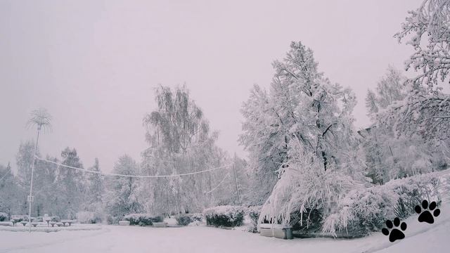 Завалило снегом в ноябре. Зимняя сказка.