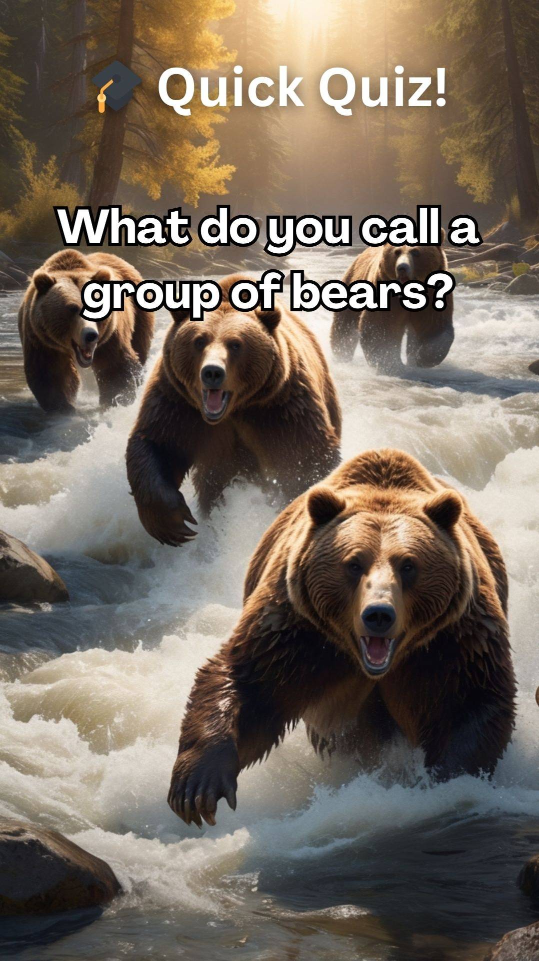 Quick Quiz 04! #quiz #animalquiz