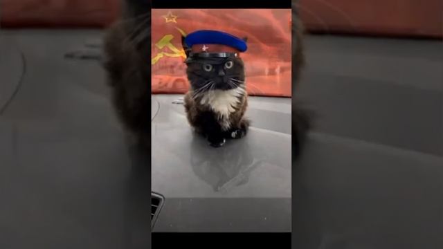ля че для тебя нашëл