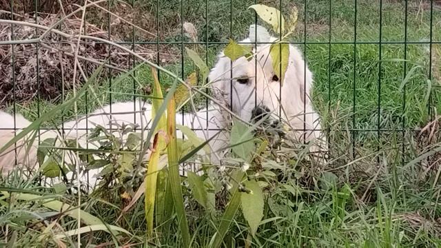 VID_20241019_162554.mp4