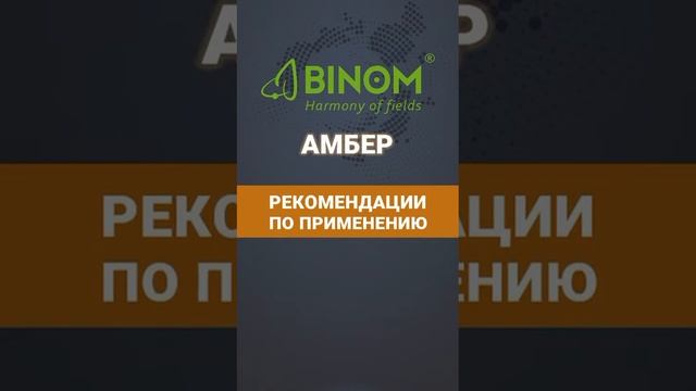 BINOM АМБЕР - высококонцентрированный природный стимулятор роста на основе янтарной кислоты.