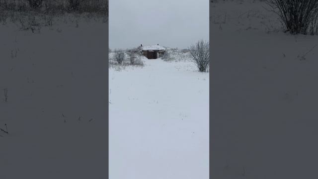 Открытие лыжного сезона на пасеке с творческой оздоровительной практикой #УРАУ
