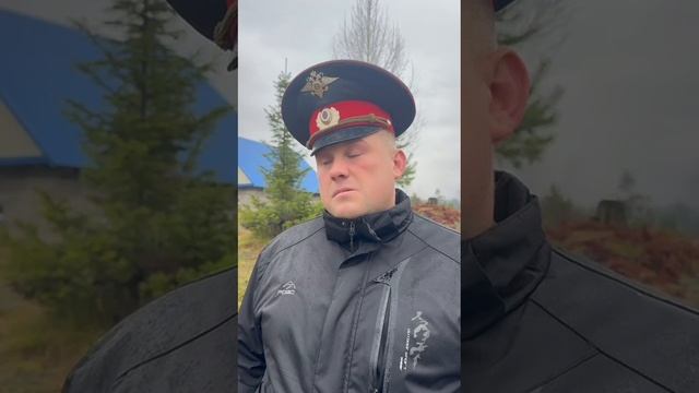 Странное дерево