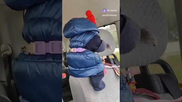 Макака Викуля едет в школу