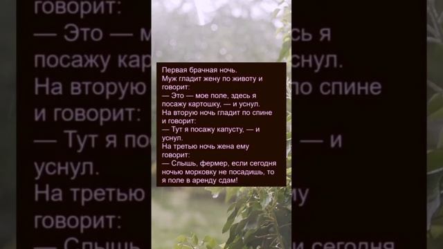 Муж и жена в брачную ночь. #юмор #афоризмы #цитаты #шутки #анекдоты #приколы #мужижена  #позитив #ре