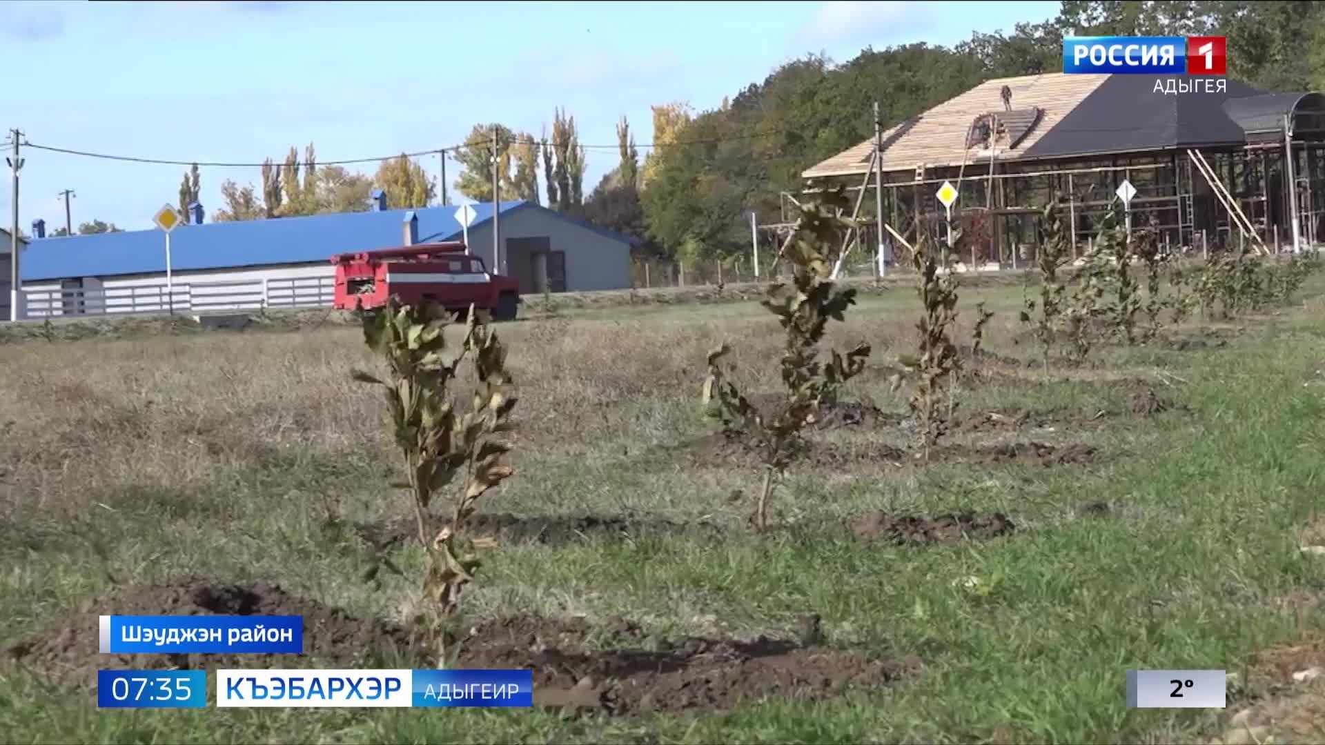 7.35 – Къэбархэр пчэдыжьым от 06.11.2024г