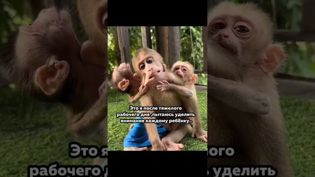 Внимание мамы важно для каждого
