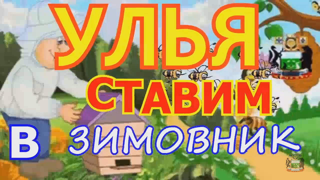 Ставим улья в зимовник