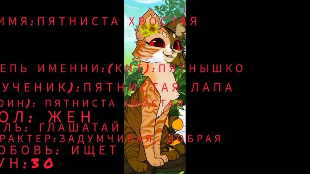 описание моей ос #коты-воители