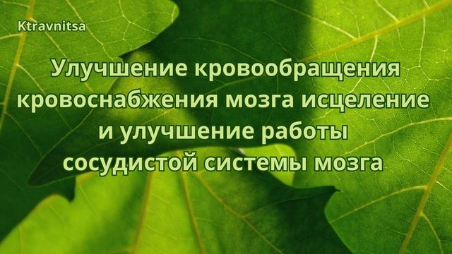 Улучшение кровообращения, кровоснабжения мозга.