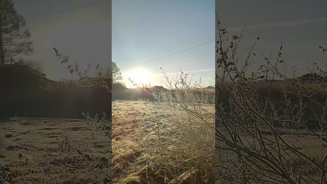 В ноябрьское утро на моей заимочке.