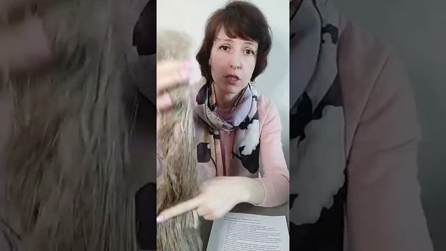 Войлок и волокна. Запись эфира 15.03.2020 г.