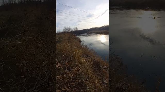 Средства для ловли налима на донки . Проверка донок на налима . Рыбалка 2024 . Ловля налима осенью .