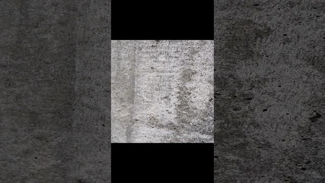 Муравьиная автострада.mp4
