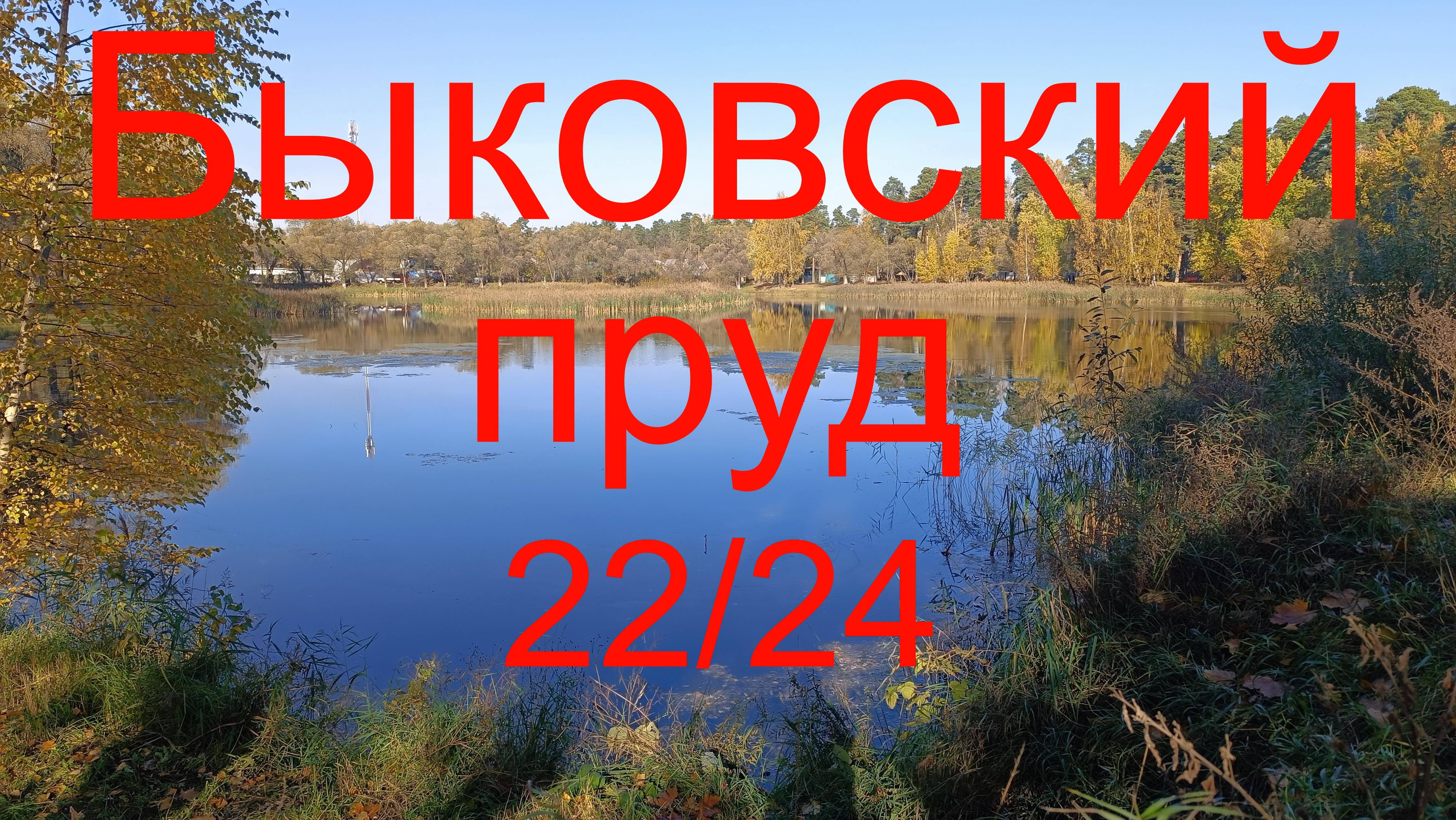 Быковский пруд 22/24 ."Тайна" Маленковского пруда. 21.10.2024.