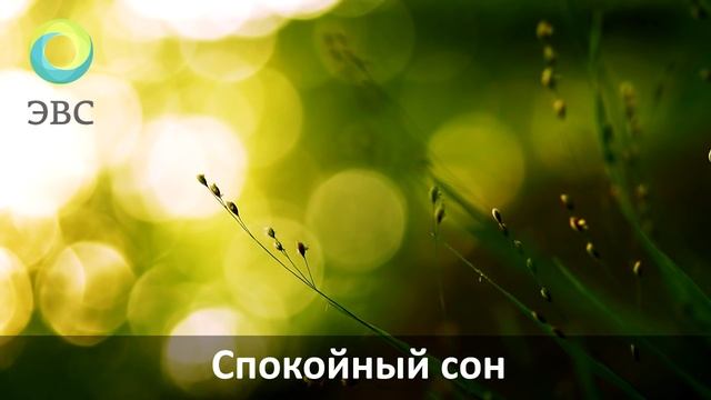 ЭВС#03. Спокойный сон.