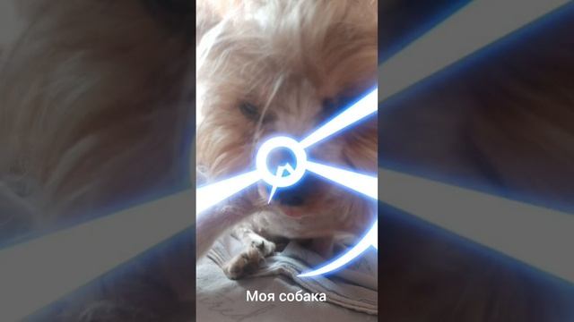 scene_output.mp4