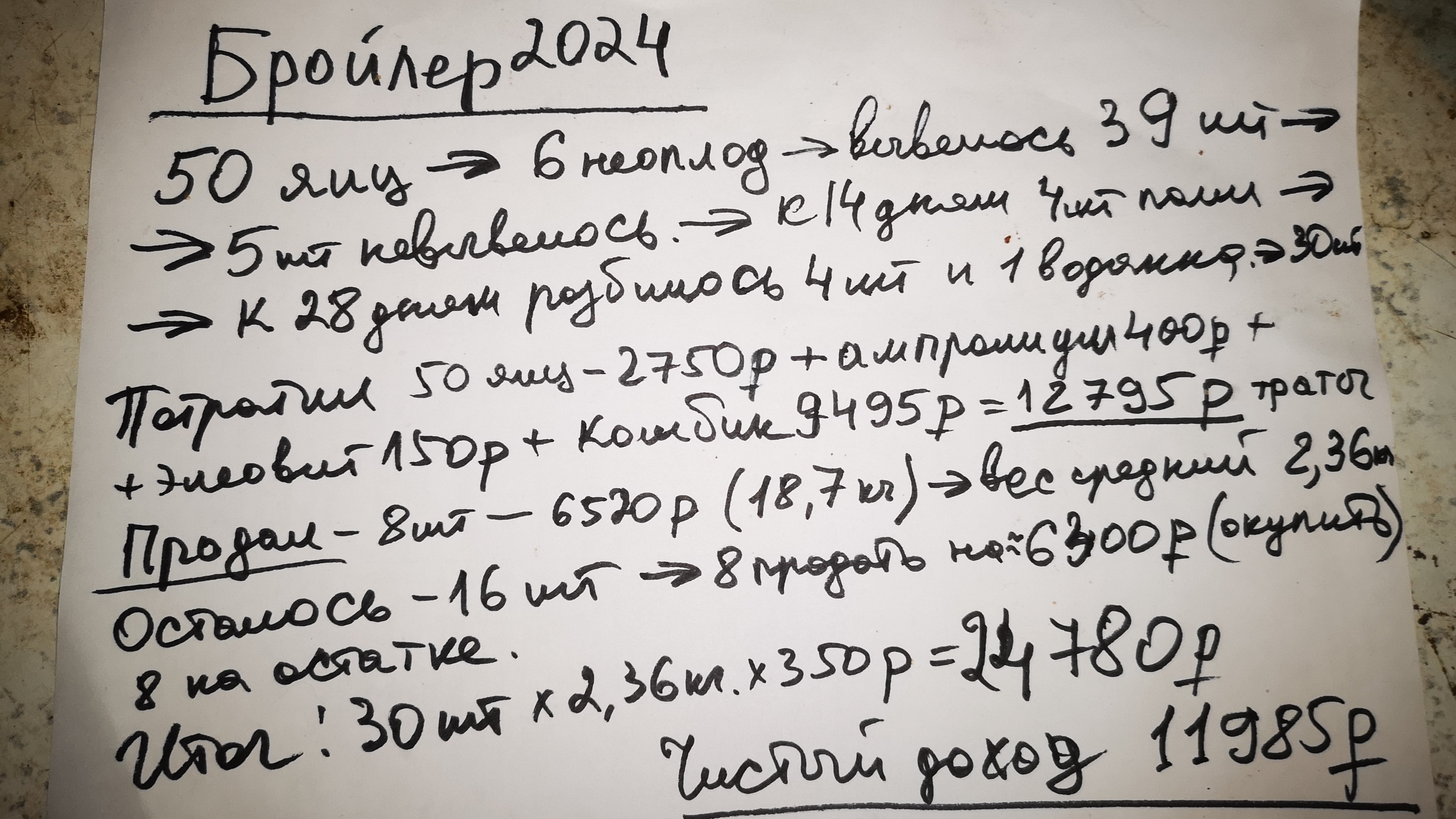 Бройлер 2024 - стоимость, доход, потери ИТОГИ