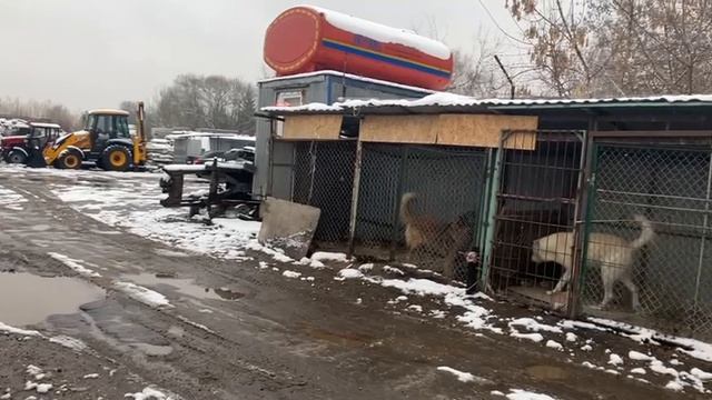 Предоставление в аренду земельного участка