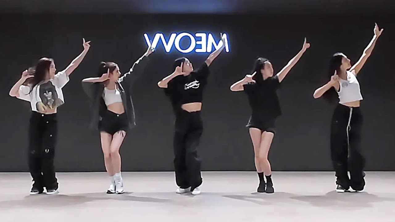 MEOVV - "MEOW" Dance Practice [MIRRORED]