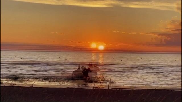 Видеоряд девушек на лошадях на закате у залива
