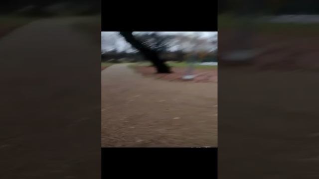 1000031549.mp4