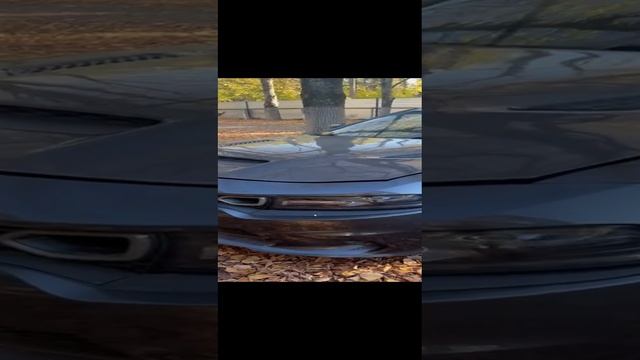 Американские монстры