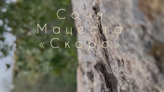 Город Сочи, мацеста, прогулка с Дорогими подписчиками!
