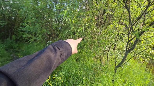 Земельный участок в посёлке городского типа Мурмаши, площадью 443 м²