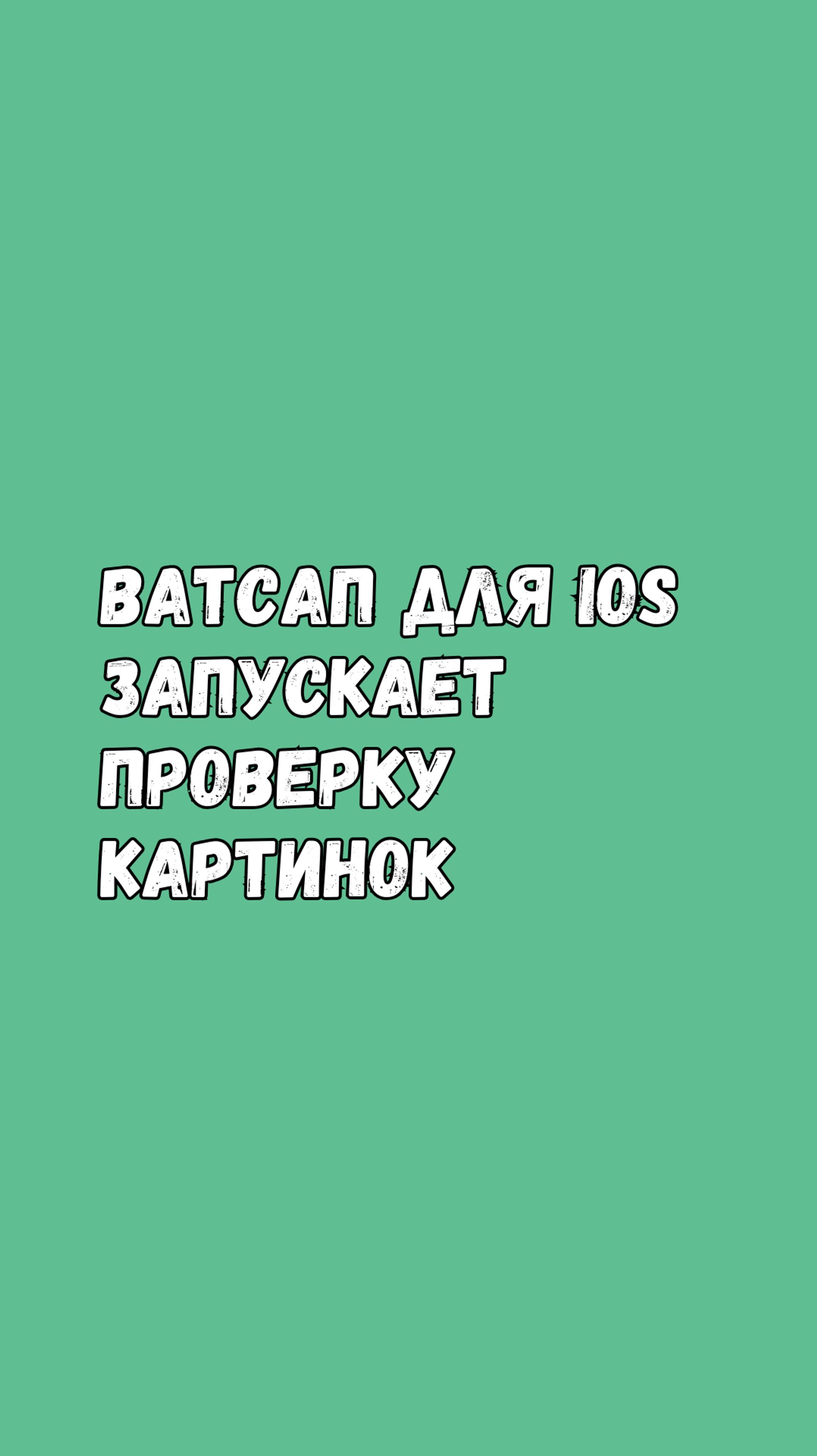 Ватсап Для iOS Запускает Проверку Картинок