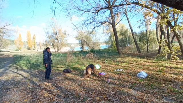 Жасминка на тренировке по ноузворк, предметы, корица. 3 ноября.
Тренер - Артем Головин.