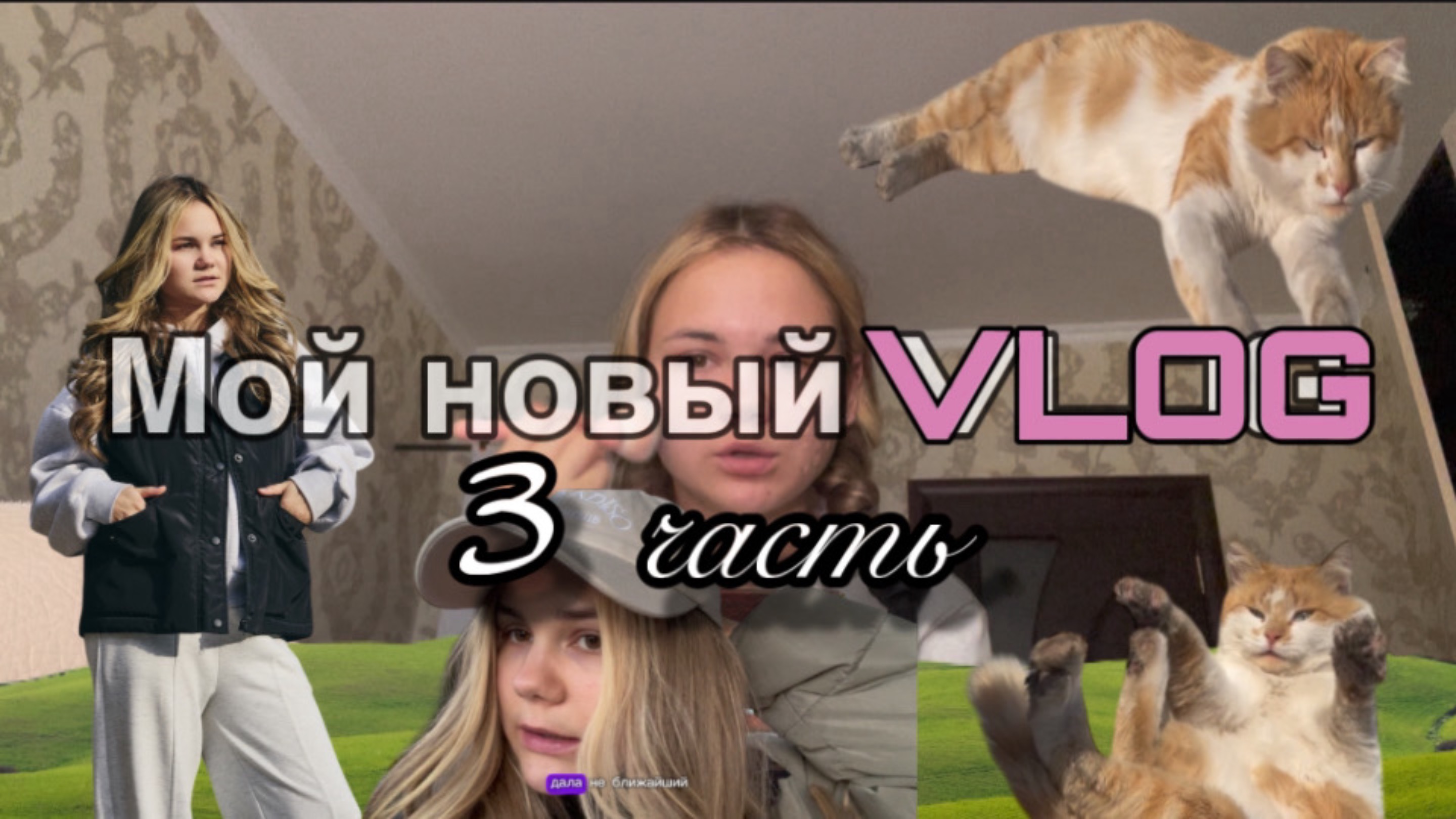 Слишком маленький рост для модельного бизеса/ не знаю кем стать/ езжу на модельные занятия