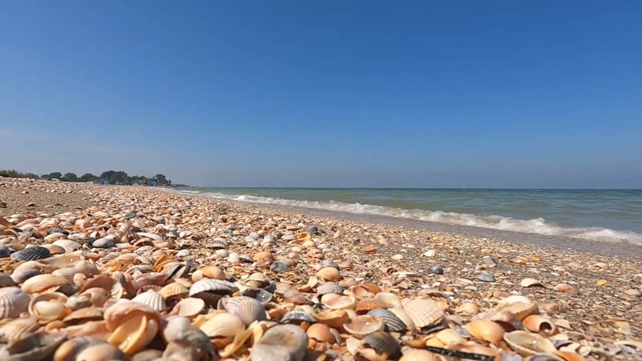 Должанская, Азовское море  и Таганрогский залив, Температура воды и воздуха, 5 июня 2024 год,