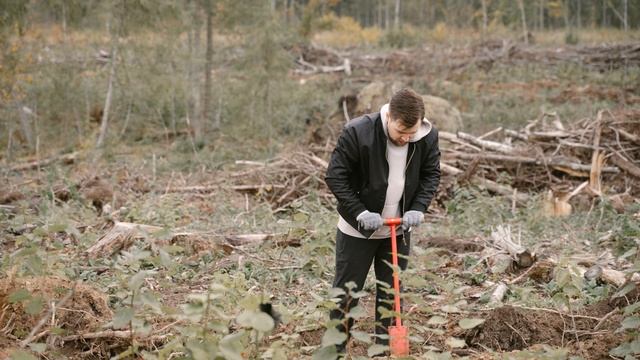 Посадка леса в Свердловской области 05.10.2024 года