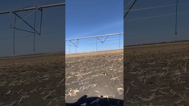 Дождевальная машина YULIN