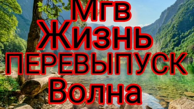 жизнь оригенал Мгв волна