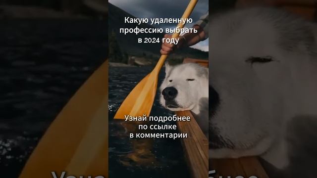 Какую удаленную профессию выбрать в 2024 году