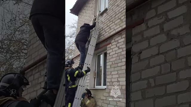 В Енакиево на пожаре сотрудники МЧС России спасли мать, двоих детей и собаку