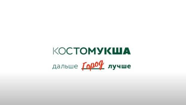 Костомукша-моногород. Работодатели-флагманы Республики Карелия.