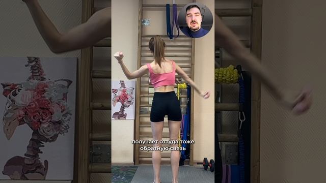 Бесплатный мини-курс по осанке и функциональным тренировкам